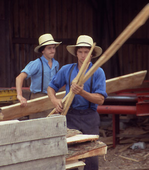 Amish teens
