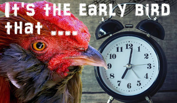 early bird